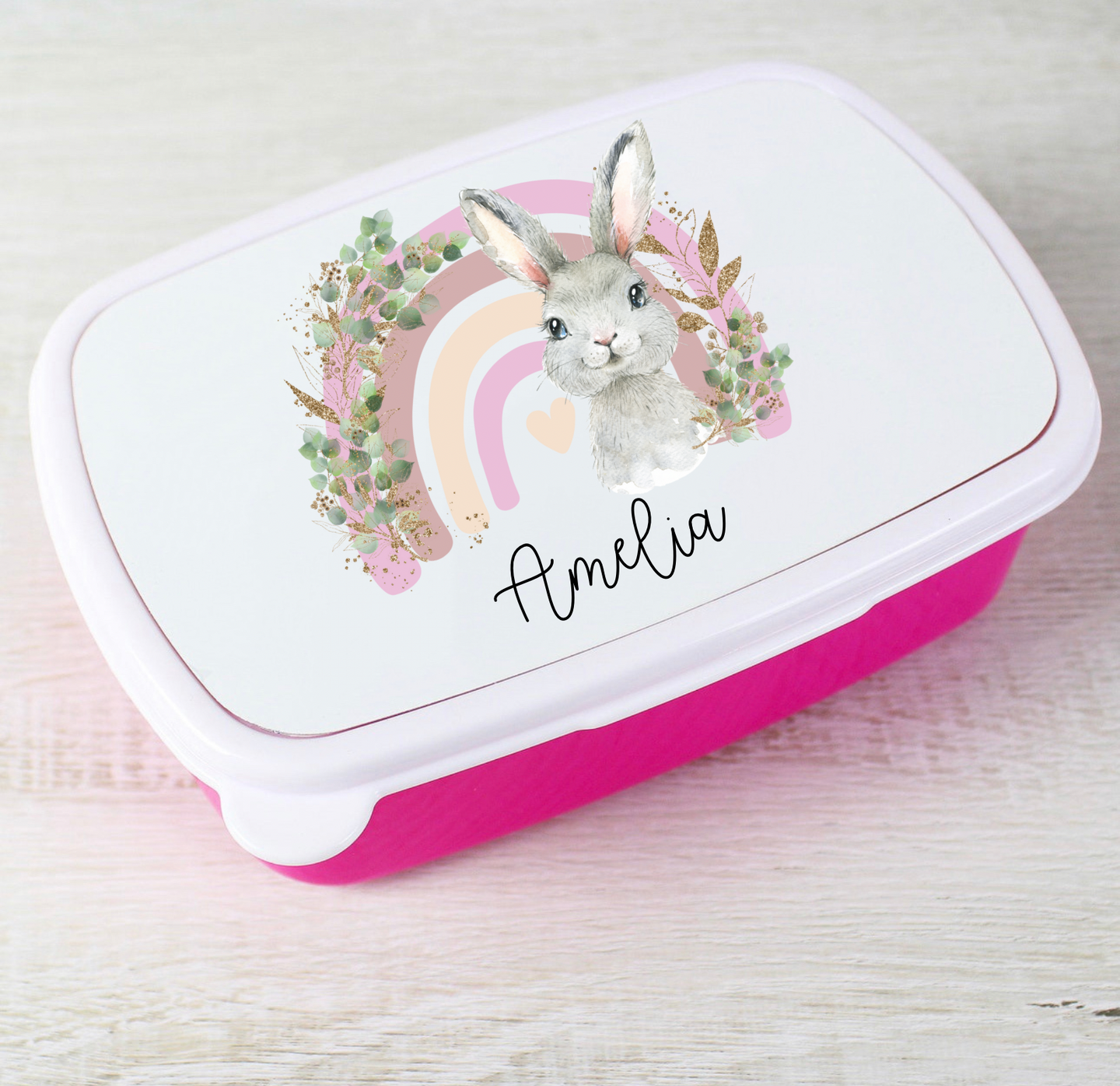 Lunch/Snack Box Pink or Blue (Lots of Designs)