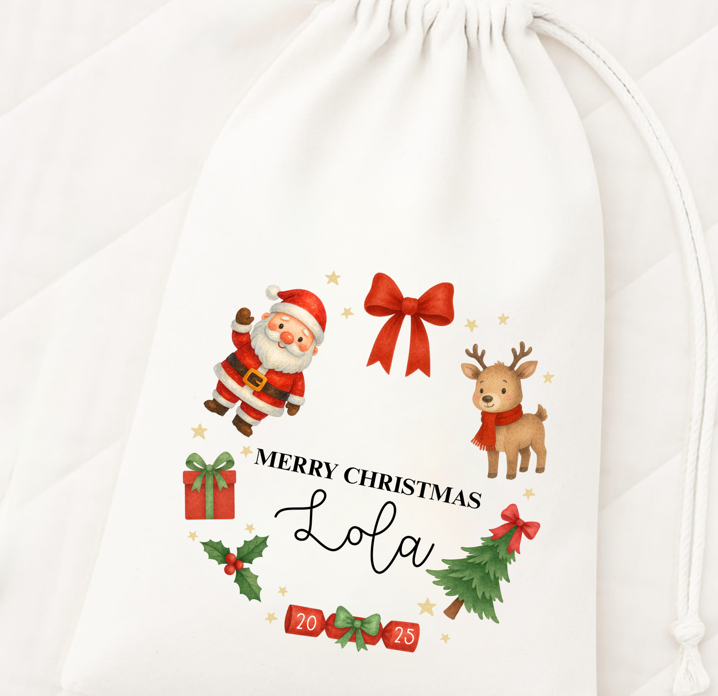 Merry Christmas Gift Bag